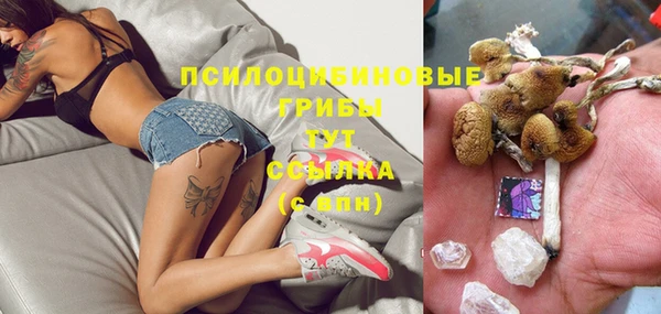 соль курить ск Гусь-Хрустальный