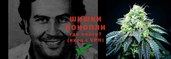 синтетический гашиш Заводоуковск
