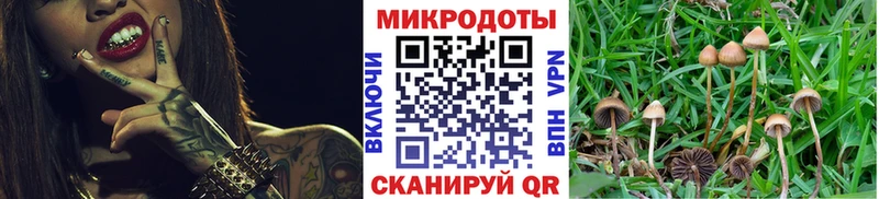 Купить закладки  Шумиха  Галлюциногенные грибы MAGIC MUSHROOMS 